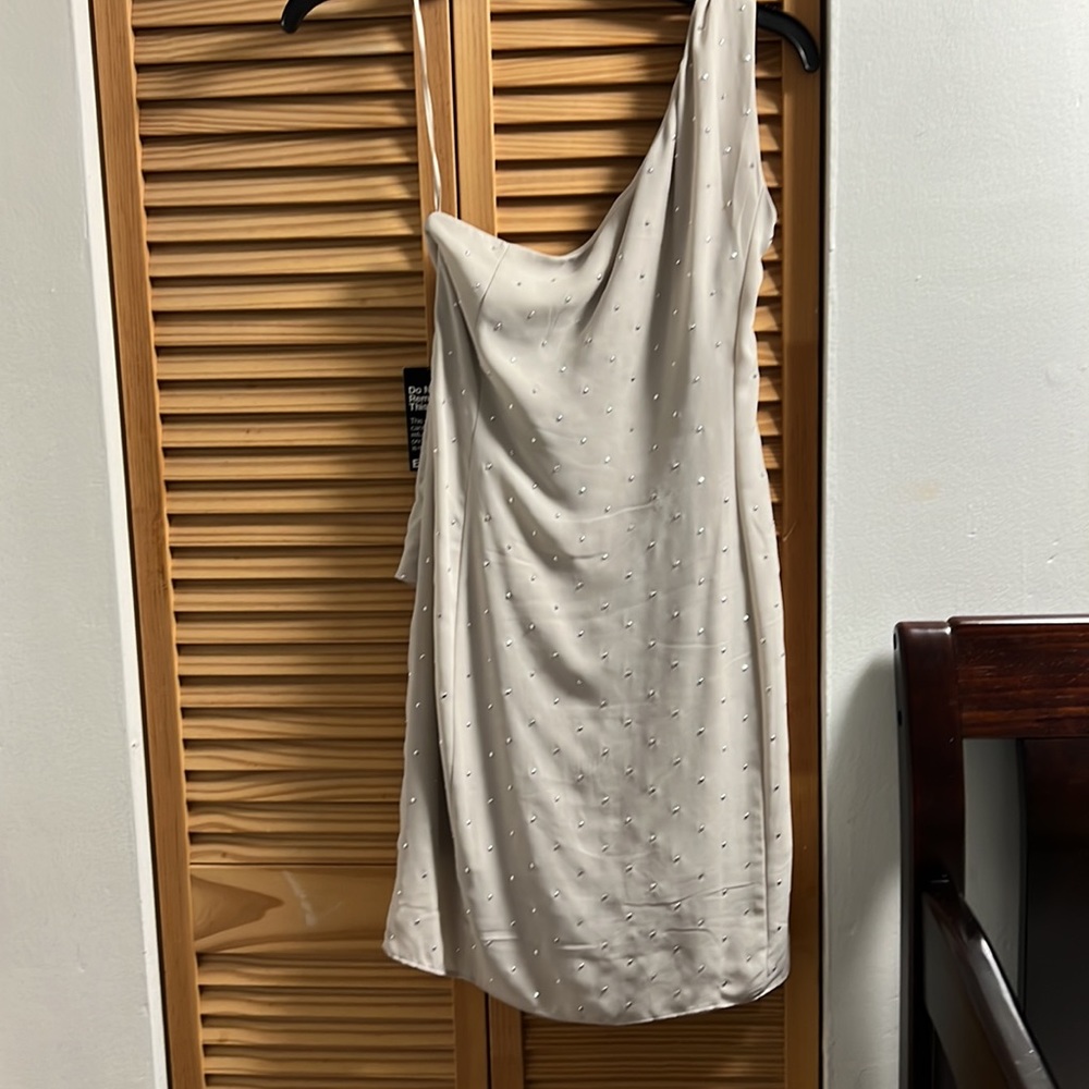 Express Dress - Picture 5 of 5